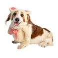 thumbnail image 7 of Walking Teddy Bear Pet Costume, 7 of 7
