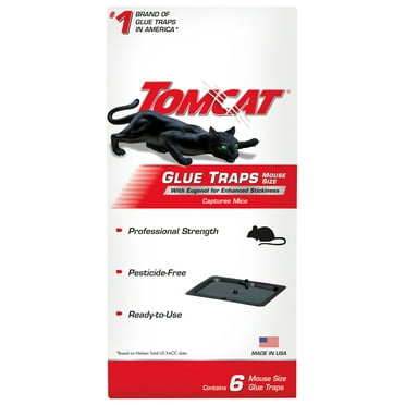 Tomcat Glue Traps Mouse Size with Eugenol for Enhanced Stickiness, 6-Pk.