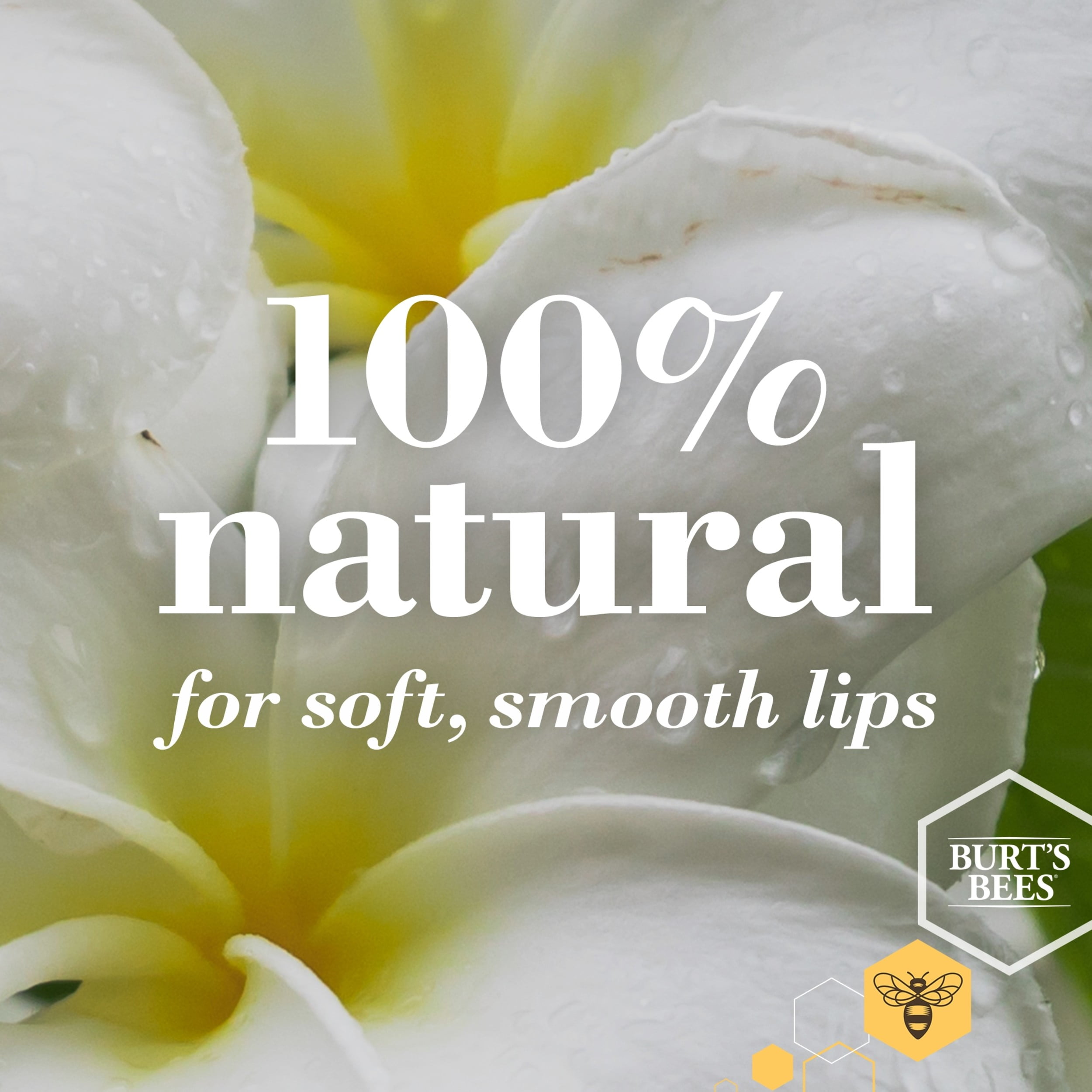 Burts Bees 100% Natural Lip Butter, Rosemary & Lemon, 1 Count