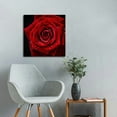 thumbnail image 5 of Chilfamy Red Rose Romantic Macro Photography Canvas Print Art 16x16in, 5 of 6