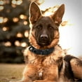 thumbnail image 5 of Thick Tactical Dog Collar Military Dog Collar Police Dog Training Collar, 5 of 5