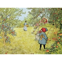 The Apple Harvest, Scenic Unframed Giclee Print Wall Art by Carl Larsson Sold by Art.Com