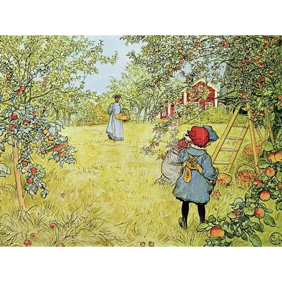 The Apple Harvest, Scenic Unframed Giclee Print Wall Art by Carl Larsson Sold by Art.Com
