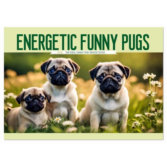 Energetic Funny Pugs (Monthly Wall Calendar 2026 11.7 x 16.5 (open)), CALVENDO 14 Month Calendar