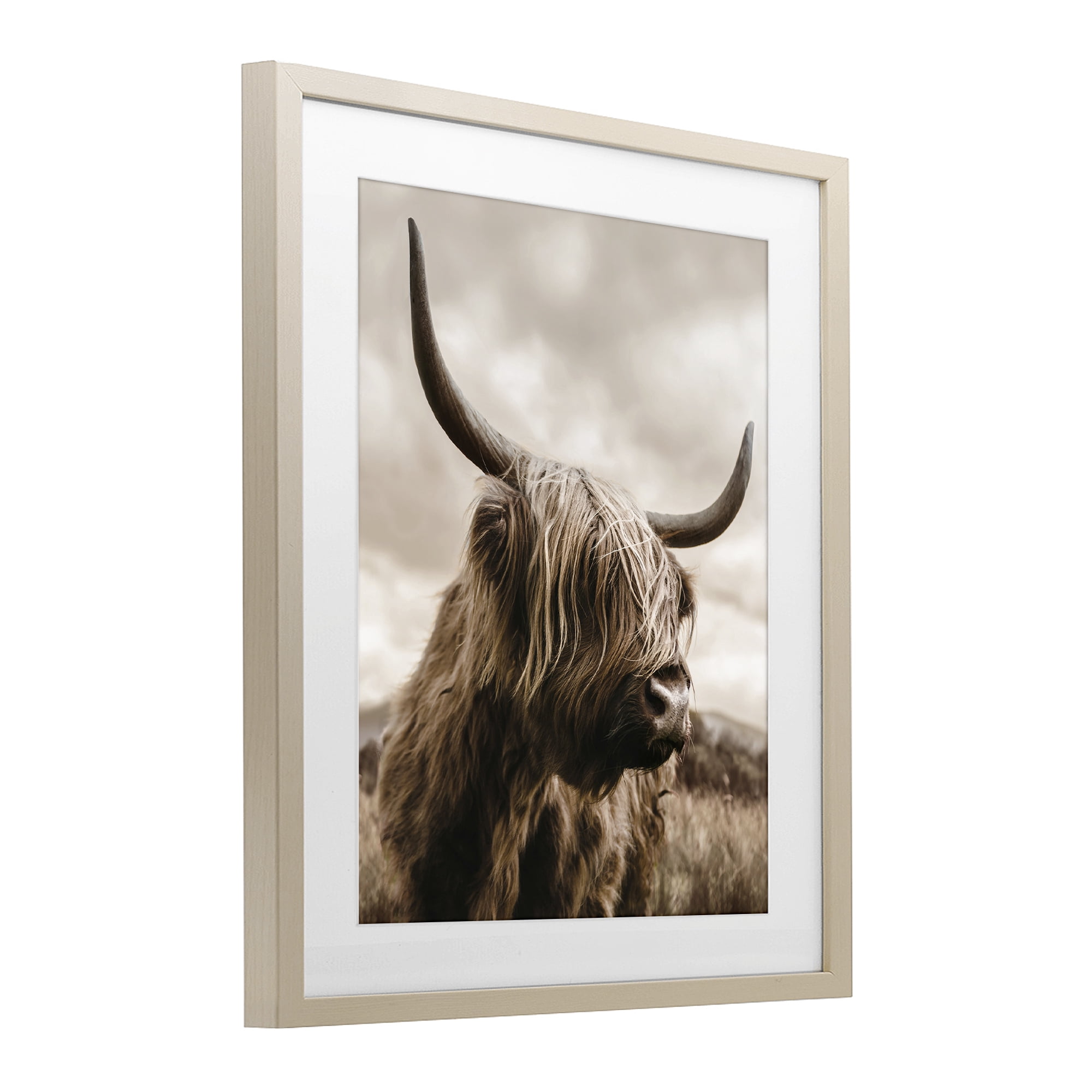 Stupell Industries Highland Cow on Windswept Moor Birch Framed Print Under Glass, design by CAD Designs