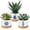 Nautical, variant on GBBG 3 Pcs Decor Gift for Women Planter Ceramic Gift Animal Plant Pot with Bamboo Tray for Office Home Farm House Bathroom Kitchen Christmas Decorations (No Plants Included) (Highland Cow)