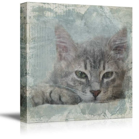 wall26 Square Cat Series Canvas Wall Art - Cat with Grunge Background - Giclee Print Gallery Wrap Modern Home Art Ready to Hang - 12x12 inches