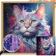 thumbnail image 1 of 5D DIY Taladro Cuadrado AB Parcial Dazzle Cat 45x45cm, 1 of 9
