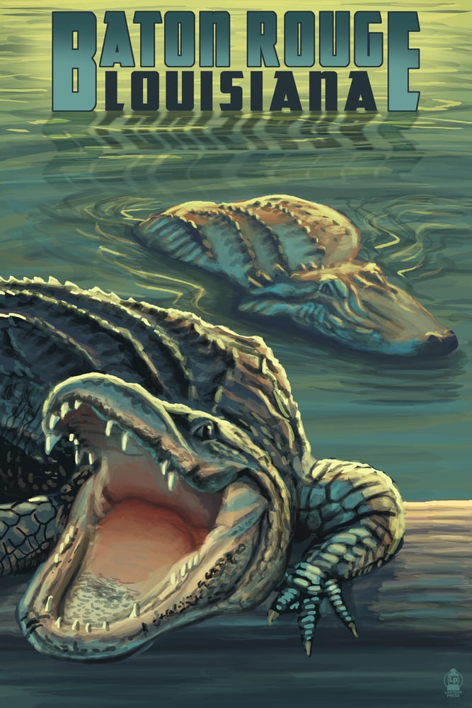 Baton Rouge, Louisiana, Alligator Scene (9x12 Wall Art Print, Home