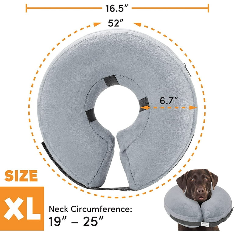 Inflatable cone hotsell for dogs petco