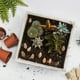 thumbnail image 4 of WASHWEPE 100Ud Conchas Decorativas Para Y Acuarios Con Natural, 4 of 6