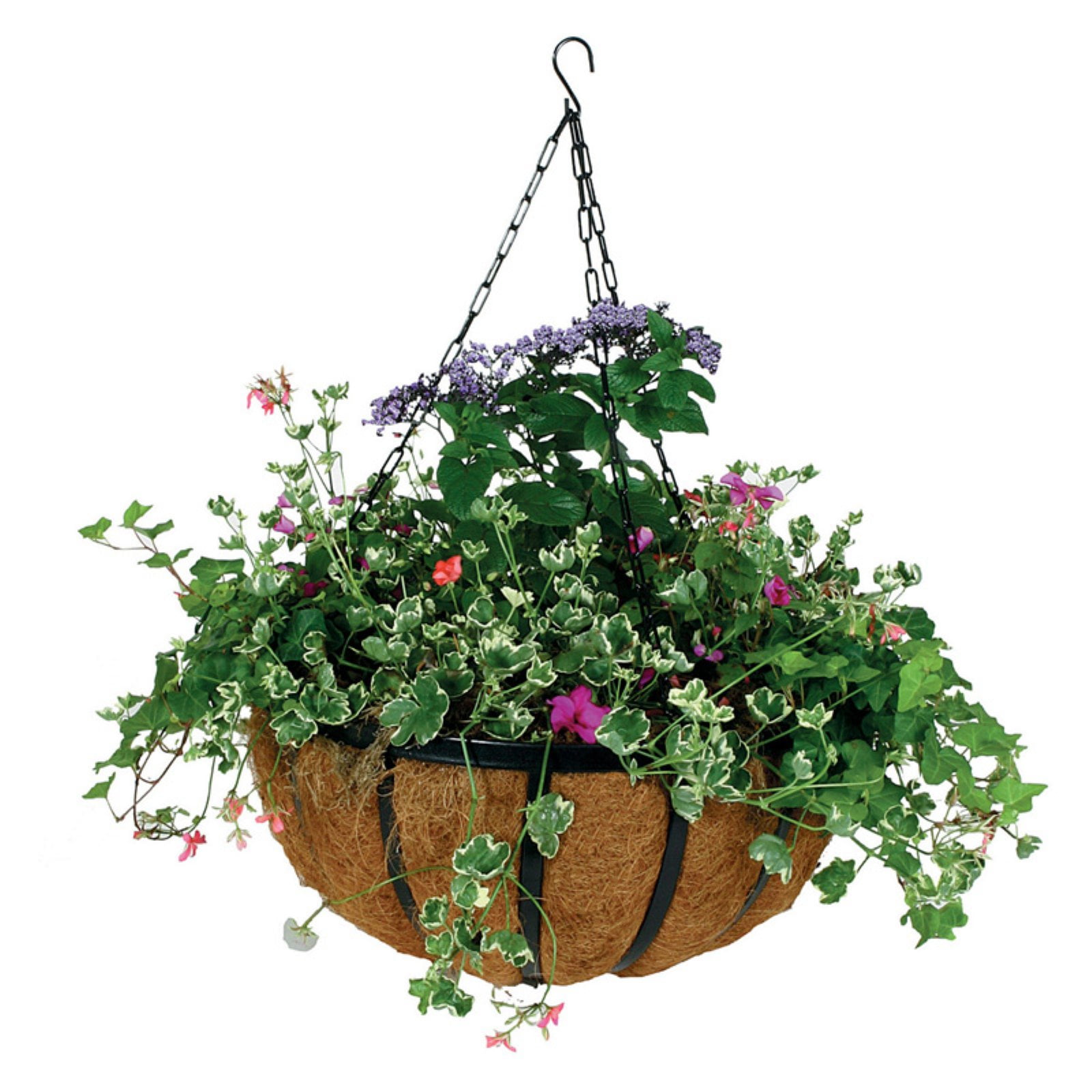 Gardman R946 14" Hanging Basket