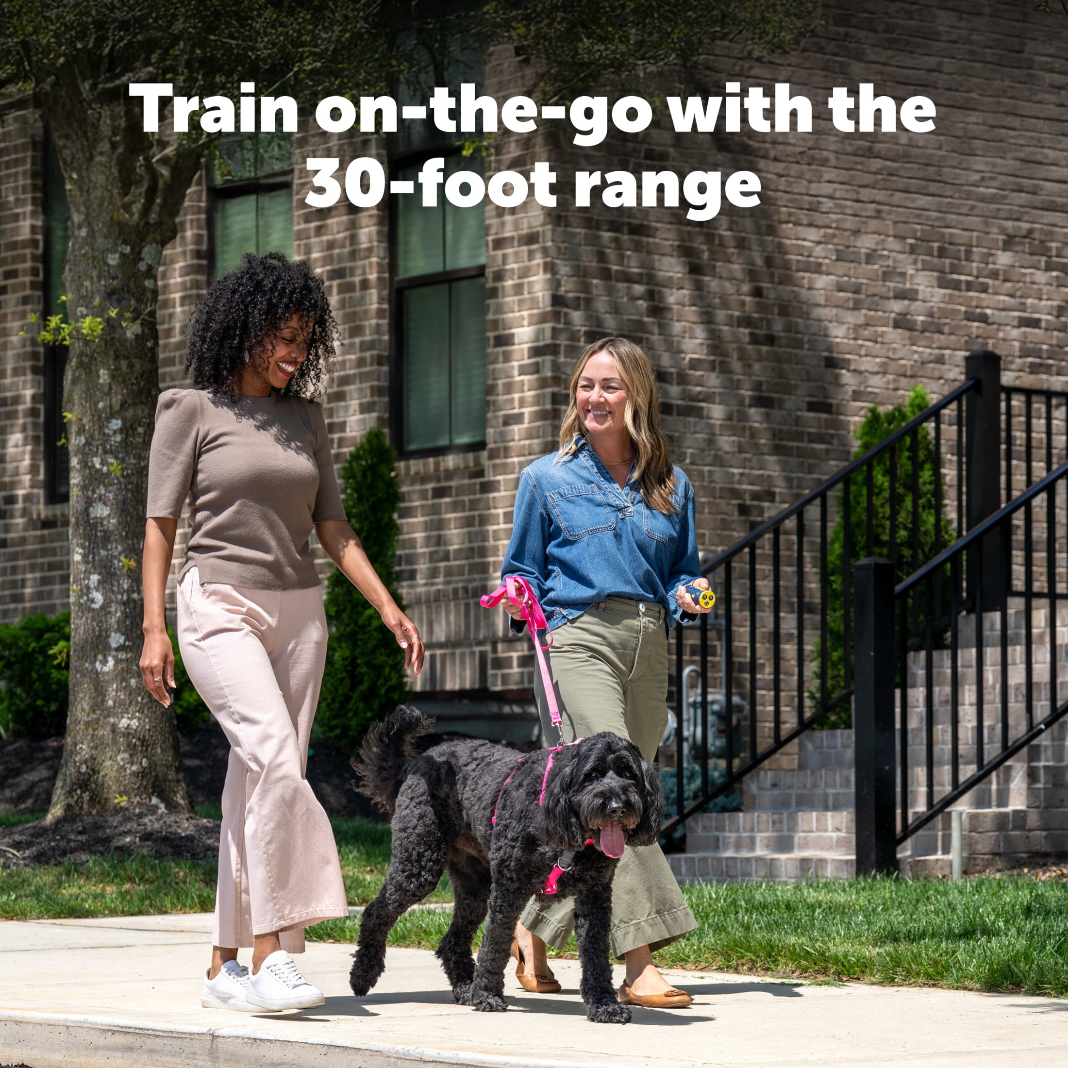 PetSafe Collarless Trainer Handheld Ultrasonic Bark Deterrent | Anti-Bark Device, Tone/High-Pitched Sound/Flashlight, Up to 30 Ft Range, Rechargeable, Wrist Strap