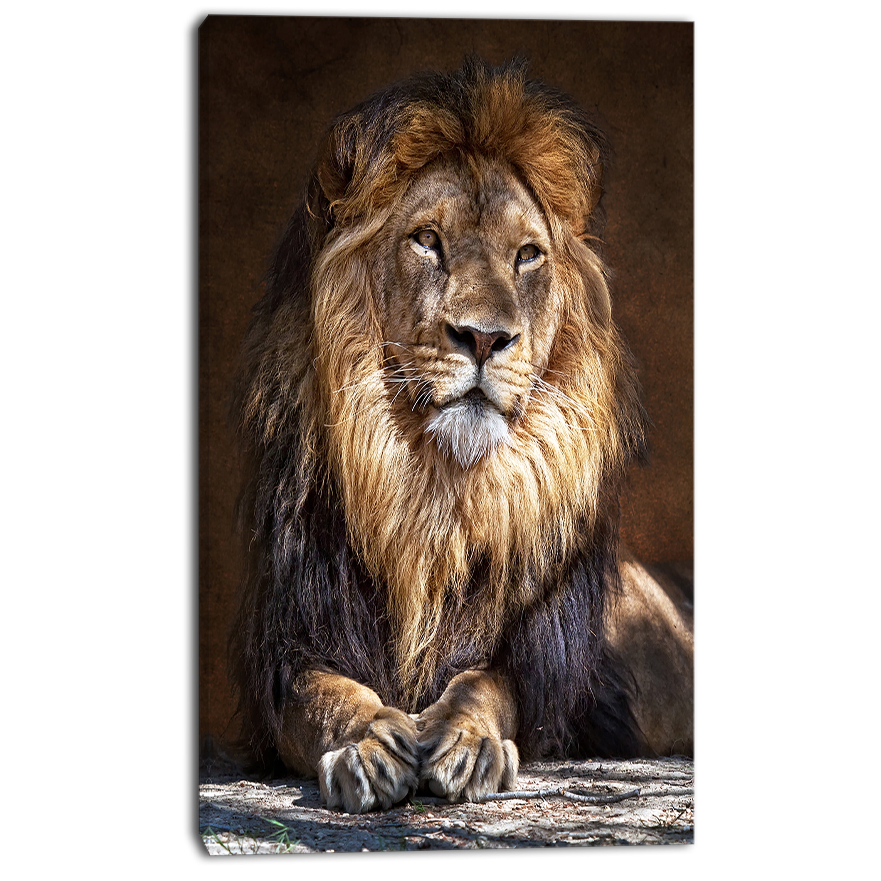 Designart 'King Lion with Lighted Face ' Animal Art Print On Canvas