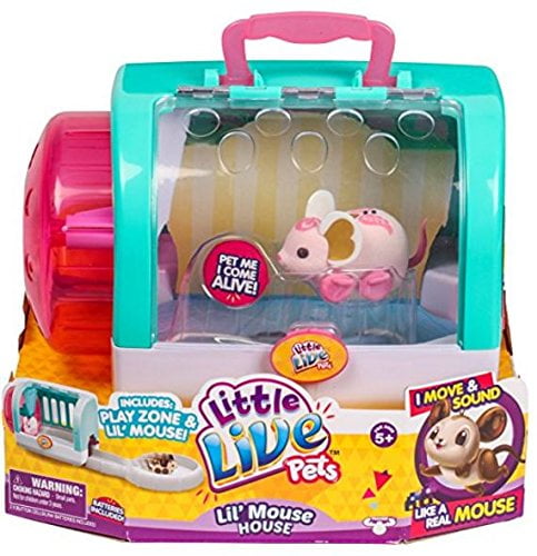 dance angel suitcase