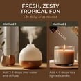 thumbnail image 4 of Aceite Esencial de Lemongrass Gya Labs 10 ml para Aromaterapia, 4 of 6