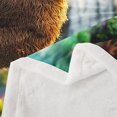 thumbnail image 3 of Erosebridal Jungle Sloth Fleece Blanket, Woodland Wildlife Sherpa Throw, Teens Childs, 3 of 6
