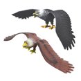 thumbnail image 4 of Shisuyan 2pcs Realistic Eagle Model Toys Simulation Eagle Figurines Bird Animal Model Balancing Eagle Toy, 4 of 9