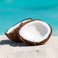 thumbnail image 2 of Caribbean Coconut 4 oz Bottle for Candle Making, Soap Making, Tart Making, Room Sprays, Lotions, Car Fresheners, Slime, Bath Bombs, Warmers, 2 of 4