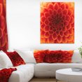 thumbnail image 1 of Close Up Orange Flower Petals - Floral Canvas Art Print, 1 of 3