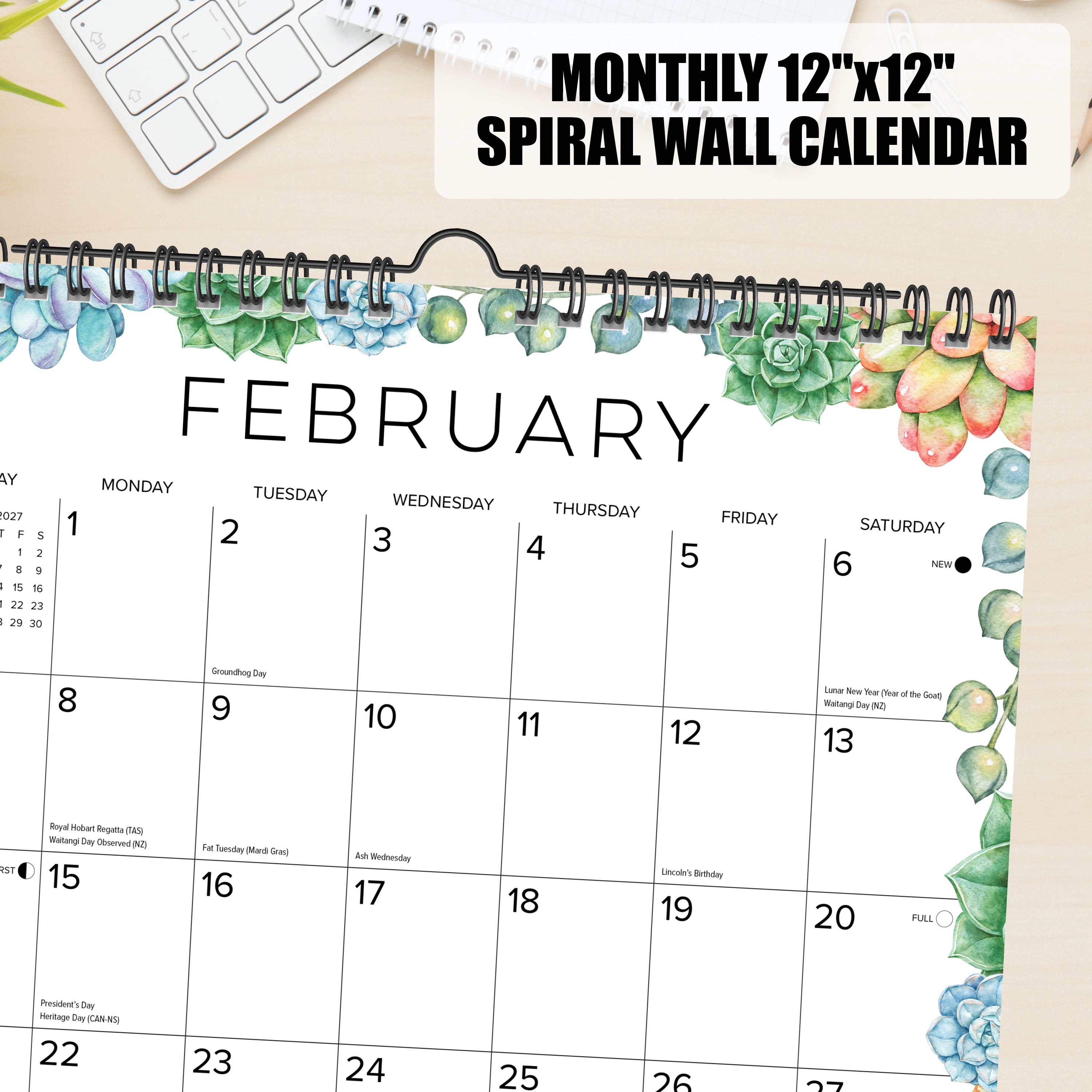Willow Creek Press Succulents 2027 12" x 12" Spiral Wall Calendar (65617)