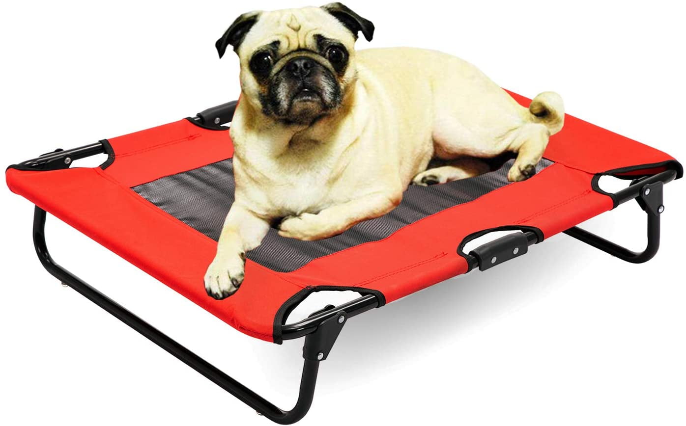 elevated dog beds walmart