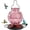 Pink, variant on Glass Hummingbird Feeder for Outdoors Hanging, 26Oz Bird Nectar Feeder with Perch & 5 Flower Feeding Ports, Leak Proof for Outside Garden Decor Backyard, Gifts for Women Mom, Red