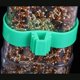 thumbnail image 2 of Lanzador automático para pájaros, suministros para jaulas de pájaros, accesorios para jaulas de pájaros, bebedero para pájaros, utensilios para loros, alimentador automático (2 piezas) Sincero Electrónica, 2 of 5