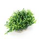 thumbnail image 4 of Planta acuática artificial de plástico para acuario, simulación vívida, para decoración paisajística de peceras., 4 of 9