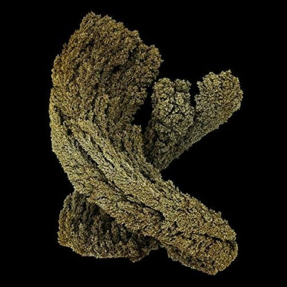 Max Cooper - Emergence - Music & Performance - CD