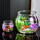 thumbnail image 2 of Acuario de pecera transparente, micropaisaje, paisajismo, plástico, resistente al tacto, resistente a caídas, tanque para tortugas, multifuncional, pequeño, de escritorio, tanque para peces de colores, 2 of 6