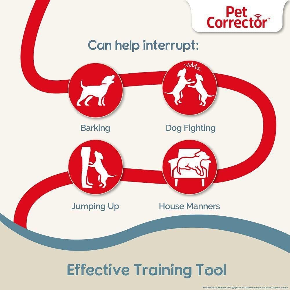 The Company of Animals Vaporisateur Correcteur pour Animaux Domestiques 50ml Solution de formation instantanée