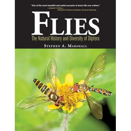 Flies The Natural History Amp Diversity Of Diptera