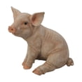 thumbnail image 5 of 10" Small Sitting Pig Outdoor Garden Statue, 5 of 5