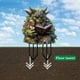 thumbnail image 4 of Estacas Acrílicas Para Macetas Ms Withered Branches Estacas Para Jardín De Hadas Decoraciones Para Exteriores Y Jardines, 4 of 4