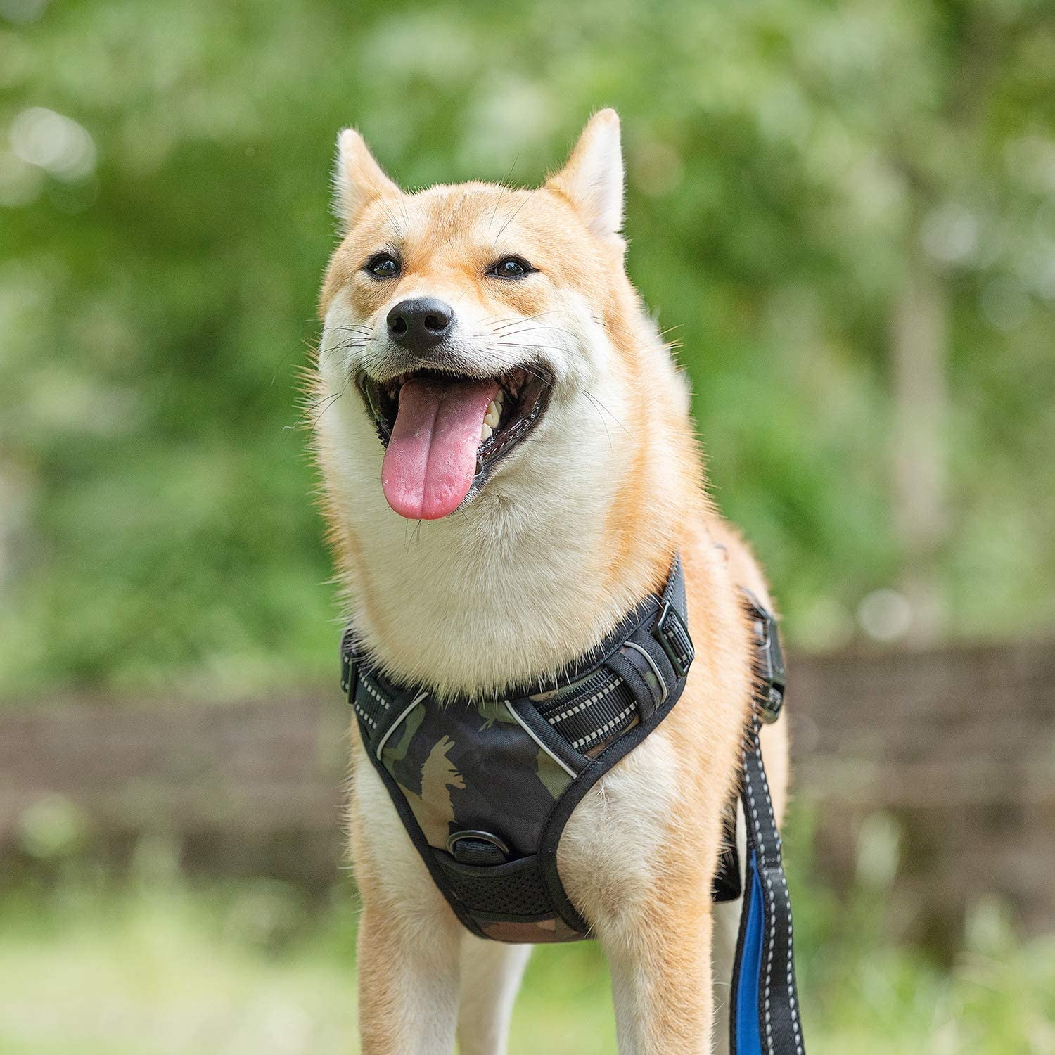 Mesh Dog Harness Comfortable Dog Harness No-Choke Dog Harness Orange Medium Puppy Leash Harness Plus 4 ft Reflective Dog Leash with Padded Handle AIR Dog Harness Leash Set 
