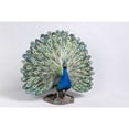 thumbnail image 6 of 22.50" Peacock with Feathers Out Outdoor Garden Statue, 6 of 6