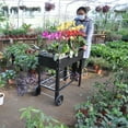 thumbnail image 6 of Hommoo Raised Garden Bed, Mobile Metal Garden Bed Cart, Black, 6 of 8