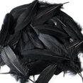 thumbnail image 3 of Black Feathers for Crafts, DIY Floating Feathers, Large Decorative Feathers for DIY Cosplay Wedding Party Halloween Decoration, 3 of 4