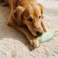 thumbnail image 3 of Dog Teething Toy Leaking Food Maker - TPR Material, Teeth Cleaning, Interactive, Durable, Treat Dispensing, Reduces Boredom, 3 of 5