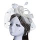 thumbnail image 5 of Stylish Hemp Mesh Headwear with Faux Feathers for Women's Stage Performances, 5 of 5