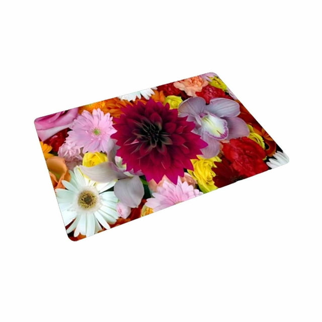 Inodoros para Baños Alfombra de Secado de Absorción de Agua de Barro de Diatoma, Alfombra de Piso Antideslizante de 40x60x1cm para la Ducha Decoración de Baño de Expansión Visual de la Puerta Del Inod