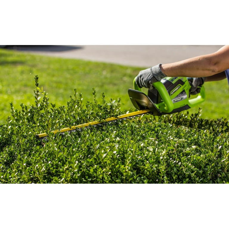 Earthwise lht14022 deals