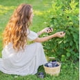 thumbnail image 3 of Crema de manos Camille Beckman Glycerine Blackberry Lavender 240ml, 3 of 5