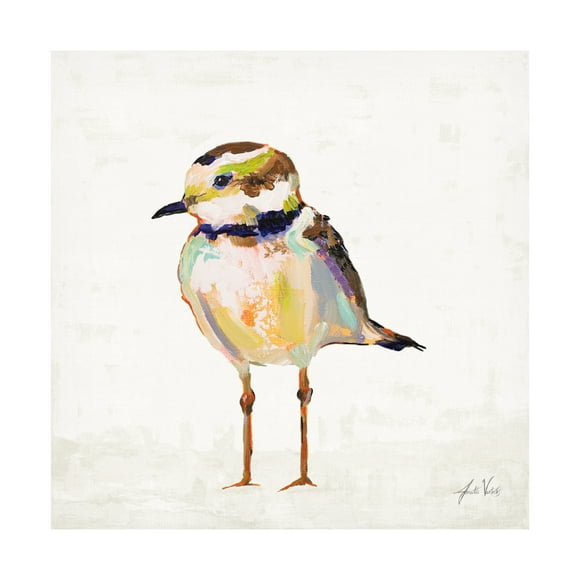 Jeanette Vertentes 'Coastal Plover II Linen' Canvas Art