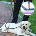 thumbnail image 4 of Dog Leash, Slip Rope Dog Training Leash, Braided Pet Training Lead, 4 of 5