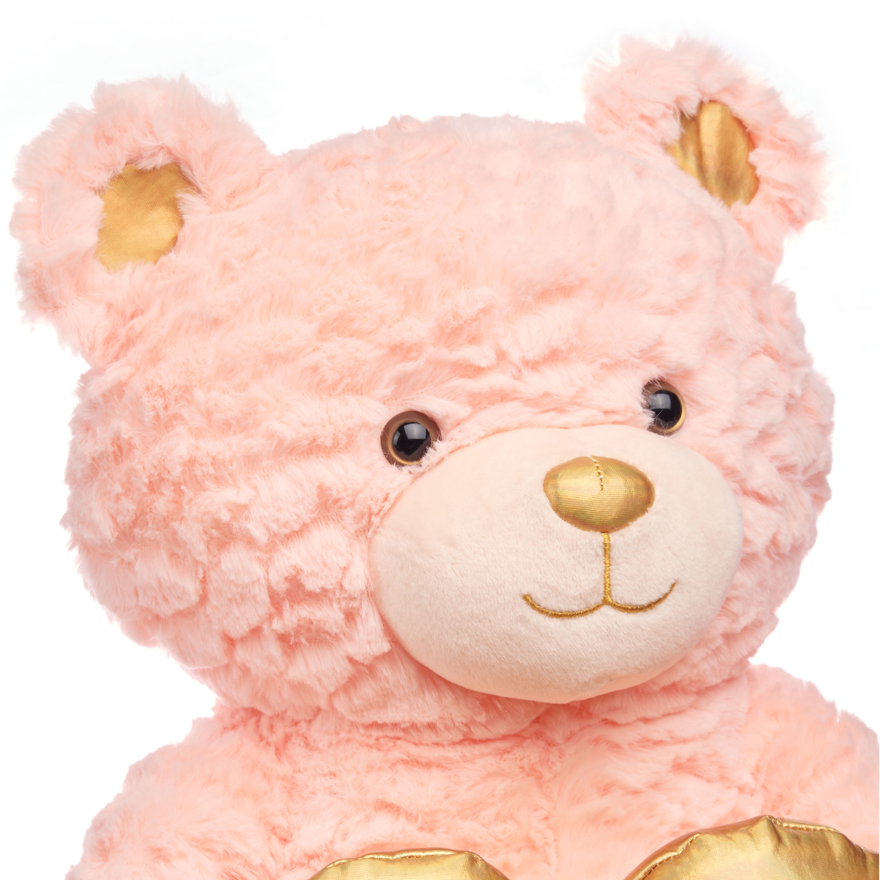 you are my sunshine musical teddy bear