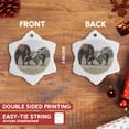 thumbnail image 3 of 3drose, Two Brahma Bull Cows Bumping Heads - Na02 Pwo0004 - Piperanne Worcester, 3 inch Snowflake Porcelain Ornament, 3 of 7
