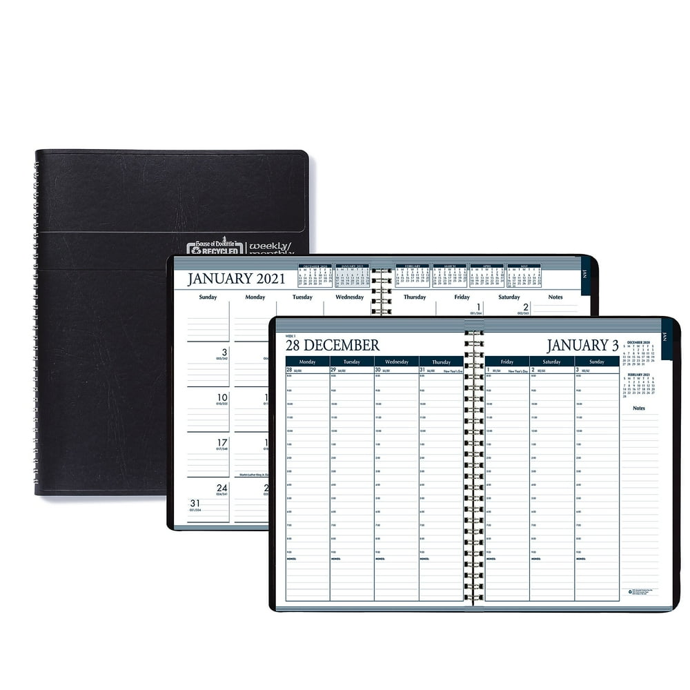 Blue Sky 2021 8.5 x 11 Appointment Book 2830221