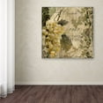 thumbnail image 4 of Trademark Fine Art "Vino Italiano IV" Canvas Art by Color Bakery, 4 of 4